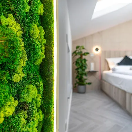 Dasto Jacuzzi Old Town Cracow * קרקוב