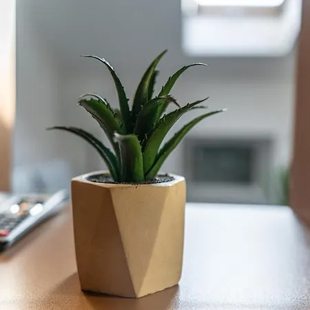 Dasto Jacuzzi Old Town Cracow *